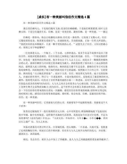 [成长]有一种美丽叫信任作文精选4篇