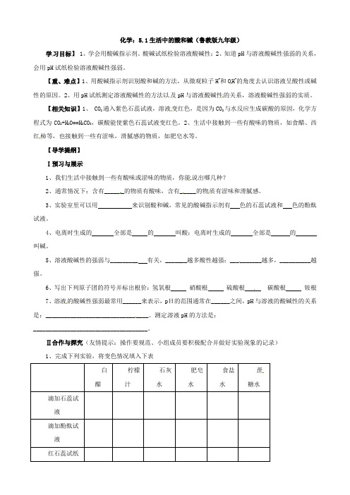 化学：5.1生活中的酸和碱学案(鲁教版九年级)