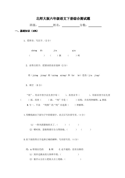 北师大版六年级下册语文期末试卷 (8)