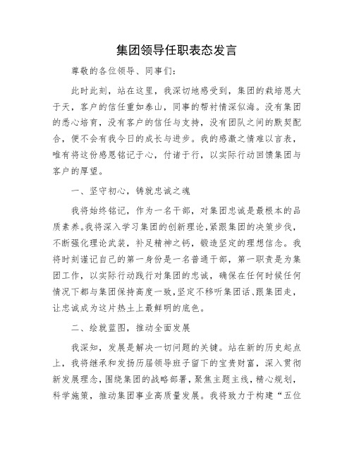 集团领导任职表态发言