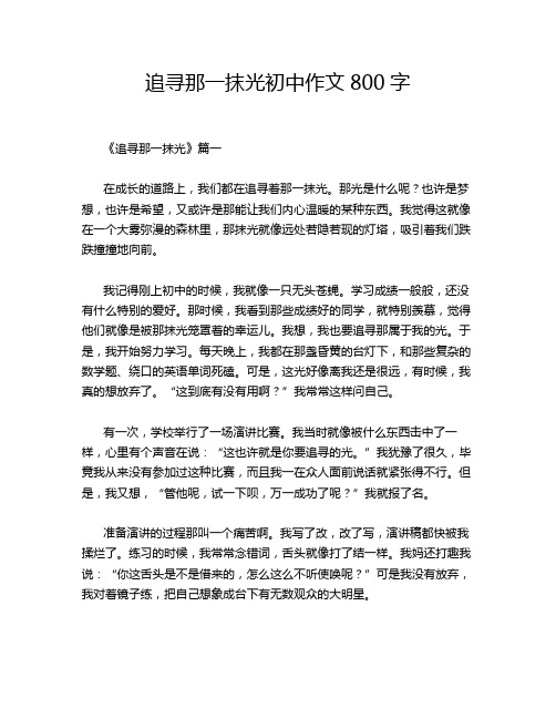 追寻那一抹光初中作文800字