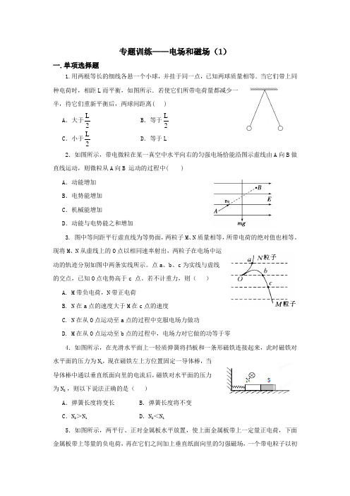 安徽庐江二中高三物理二轮复习----电场和磁场(1)