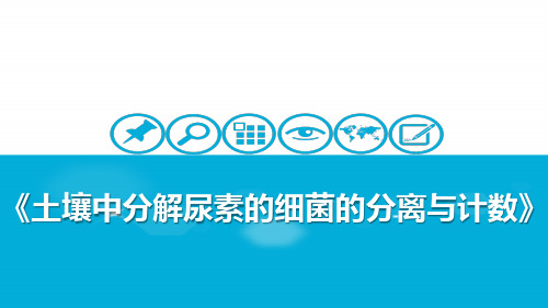 专题2课题2土壤中分解尿素的细菌的分离与计数