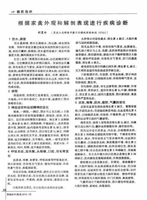 根据家禽外观和解剖表现进行疾病诊断