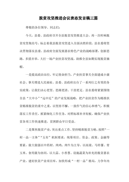 脱贫攻坚推进会议表态发言稿三篇