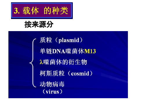 4(2011) 载体的种类9.6