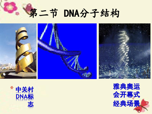 高中生物DNA分子的结构全国公开课一等奖百校联赛微课赛课特等奖课件