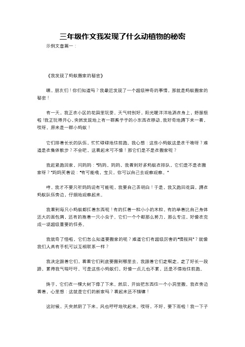 三年级作文我发现了什么动植物的秘密