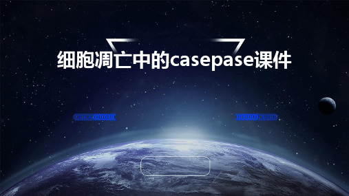 细胞凋亡中的casepase课件