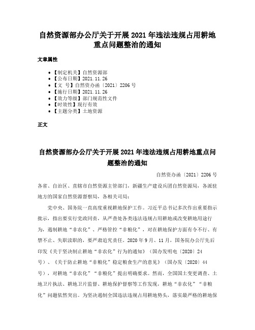 自然资源部办公厅关于开展2021年违法违规占用耕地重点问题整治的通知