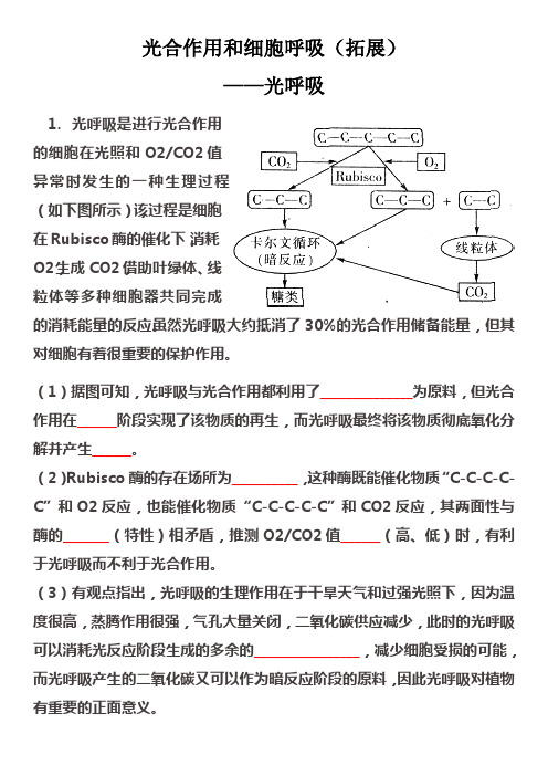 光呼吸试题(最新整理)