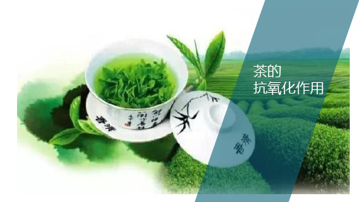 茶的抗氧化作用