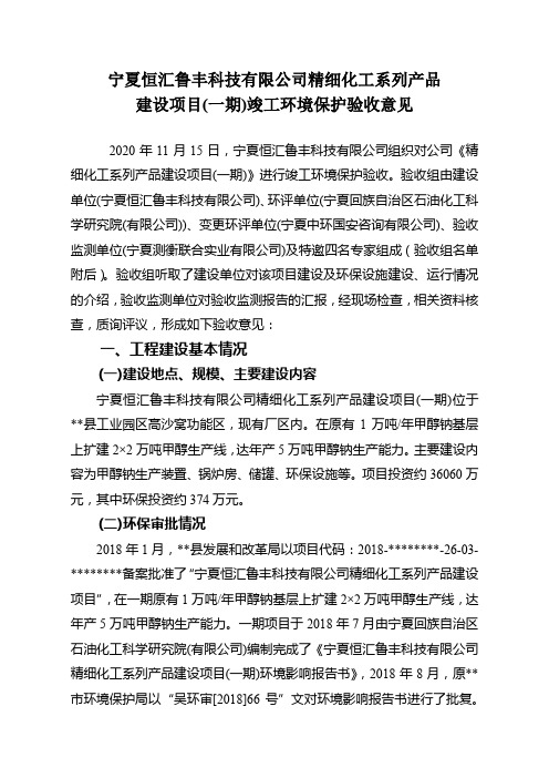 宁夏恒汇鲁丰科技有限公司精细化工系列产品建设项目(一期)竣工环境保护验收意见【模板】