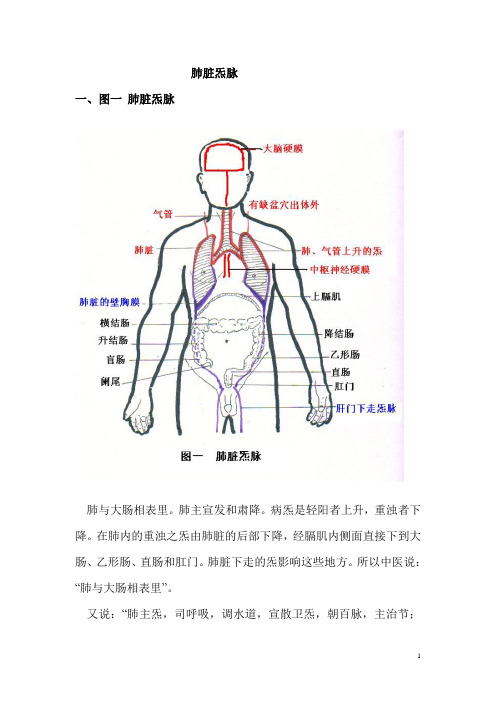 肺炁脉