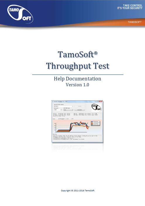 Throughput Test Help Documentation说明书