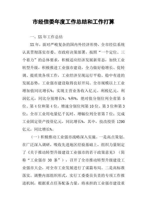 市经信委年度工作总结和工作打算