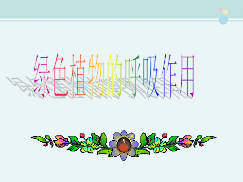 《绿色植物的呼吸作用》-完整版PPT课件