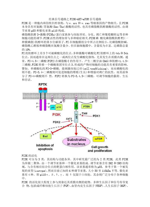 经典信号通路之PI3K-AKT-mTOR信号通路