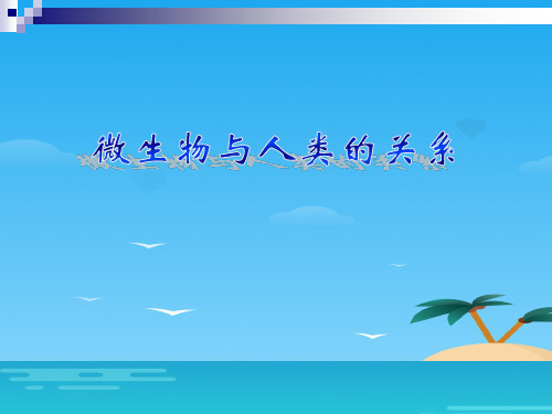 《微生物与人类的关系》PPT课件[优秀课件资料]