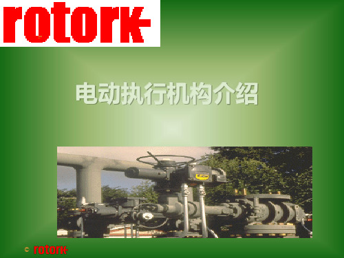 rotork演示说明