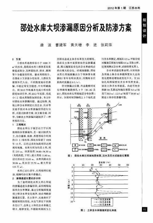 邵处水库大坝渗漏原因分析及防渗方案