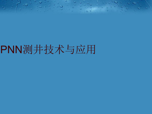 PNN测井技术与应用