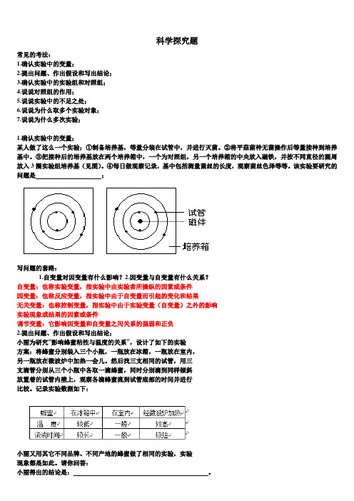 初中：科学探究题