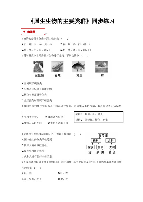 北师大版八年级生物下册同步练习 生物的分类