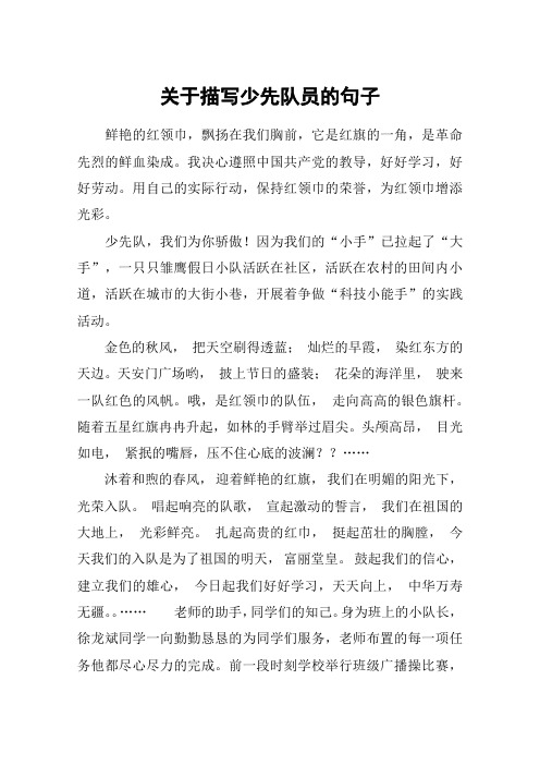 关于描写少先队员的句子