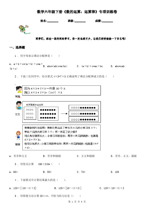 数学六年级下册《数的运算：运算律》专项训练卷