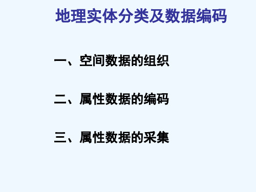 地理实体分类及数据编码