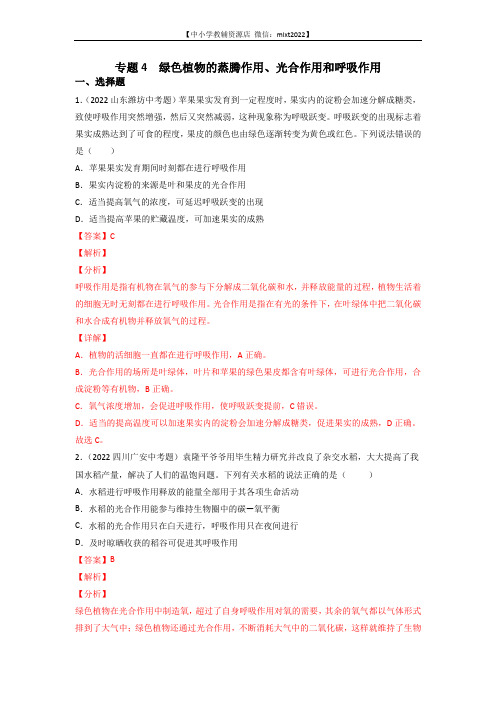 专题04 绿色植物的蒸腾作用、光合作用和呼吸作用-2022年中考生物真题分项汇编(全国通用