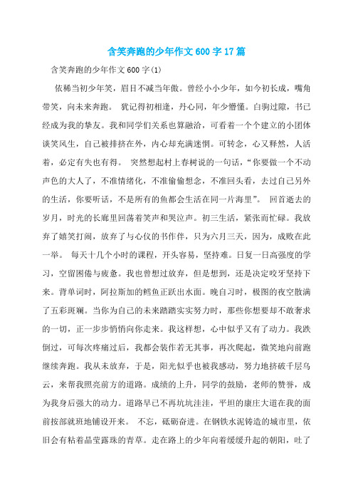 含笑奔跑的少年作文600字17篇