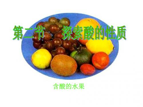 九年级科学探索酸的性质20(新编201908)