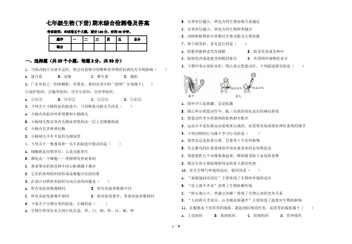 七年级生物(下册)期末综合检测卷及答案