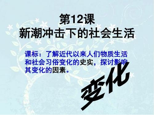 【高中历史】新潮冲击下的社会生活ppt25