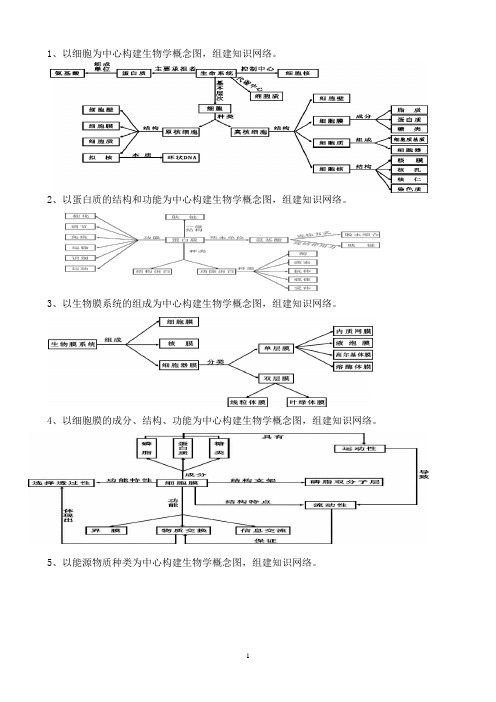 高中生物概念图汇总(完整)