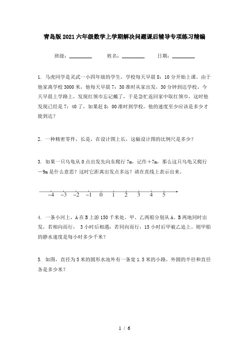 青岛版2021六年级数学上学期解决问题课后辅导专项练习精编