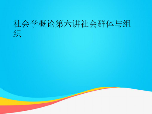 【推荐文档】社会学概论第六讲社会群体与组织PPT