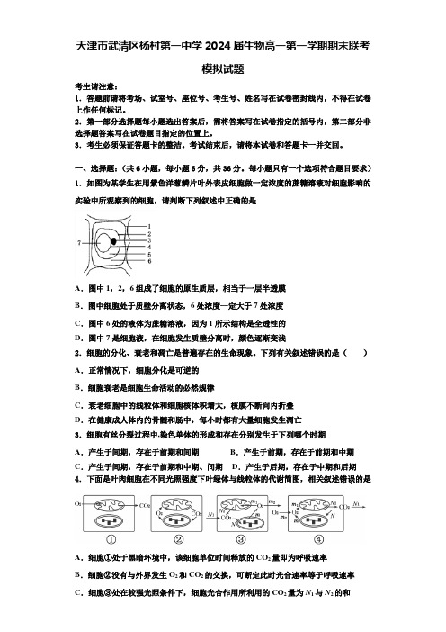 天津市武清区杨村第一中学2024届生物高一第一学期期末联考模拟试题含解析