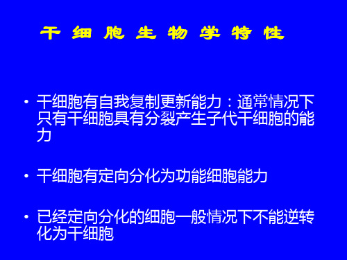 研究生讲课肿瘤干细胞-PPT课件