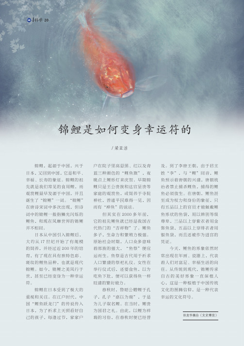 锦鲤是如何变身幸运符的
