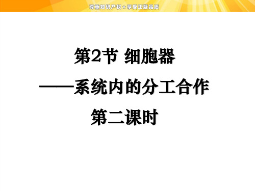 细胞器之间的协调配合和生物膜系统