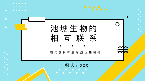 鄂教版科学五年级上册课件池塘生物的相互联系PPT模板