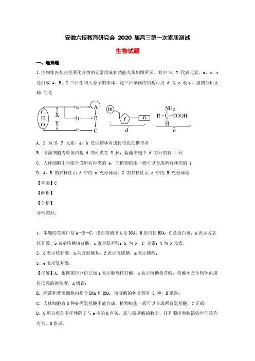 安徽省六校2020届高三生物第一次素质测试试题(含解析)