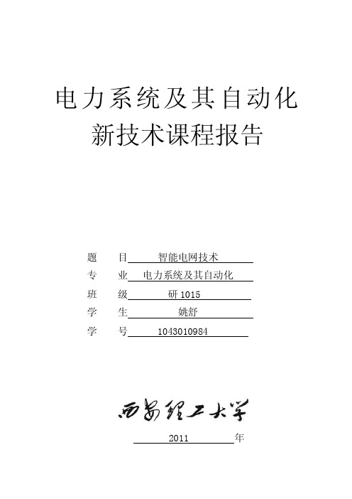 电力系统及其自动化新技术课程报告