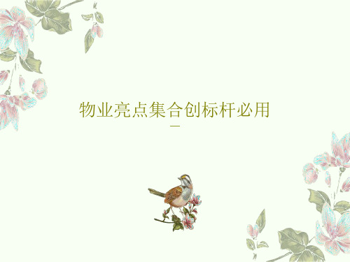 物业亮点集合创标杆必用205页PPT