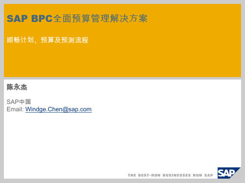 SAP的BPC解决方案_陈永杰