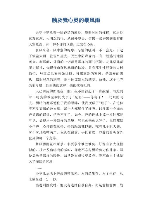 中学生满分作文精选:触及我心灵的暴风雨