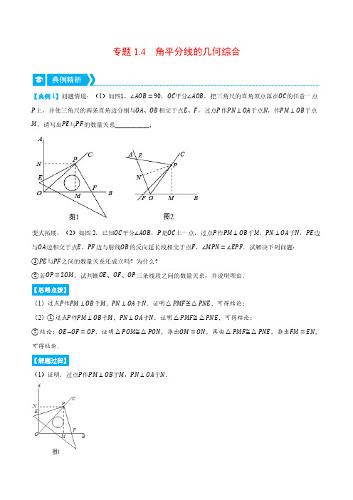 专题1.4 角平分线的几何综合(压轴题专项讲练)(浙教版)(原卷版)